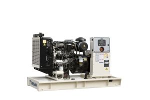 Дизельный генератор TEKSAN TJ90PE5C  фото
