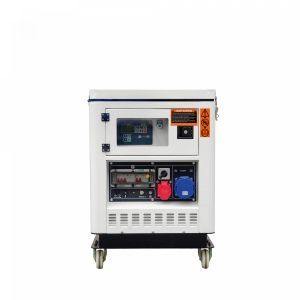 Дизельный генератор  DDW 12 DSE-3