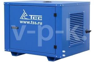 Бензиновый генератор ТСС SGG 9000E3LU в погодозащитном кожухе  фото