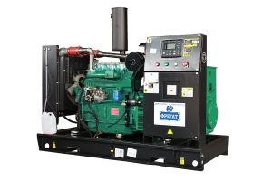 Дизельный генератор  АД-50 с АВР