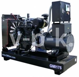 Дизельный генератор GMGen GMI175  фото