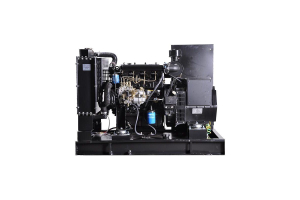 Дизельный генератор Fubag DS 16 A ES  (однофазная_открытая_пож)  фото