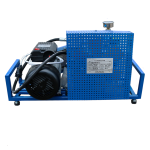 Поршневой компрессор Frosp КВД 100/300-2 фото