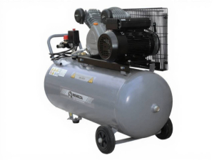 Поршневой компрессор Remeza СБ4/С-100.LB24A ременной фото